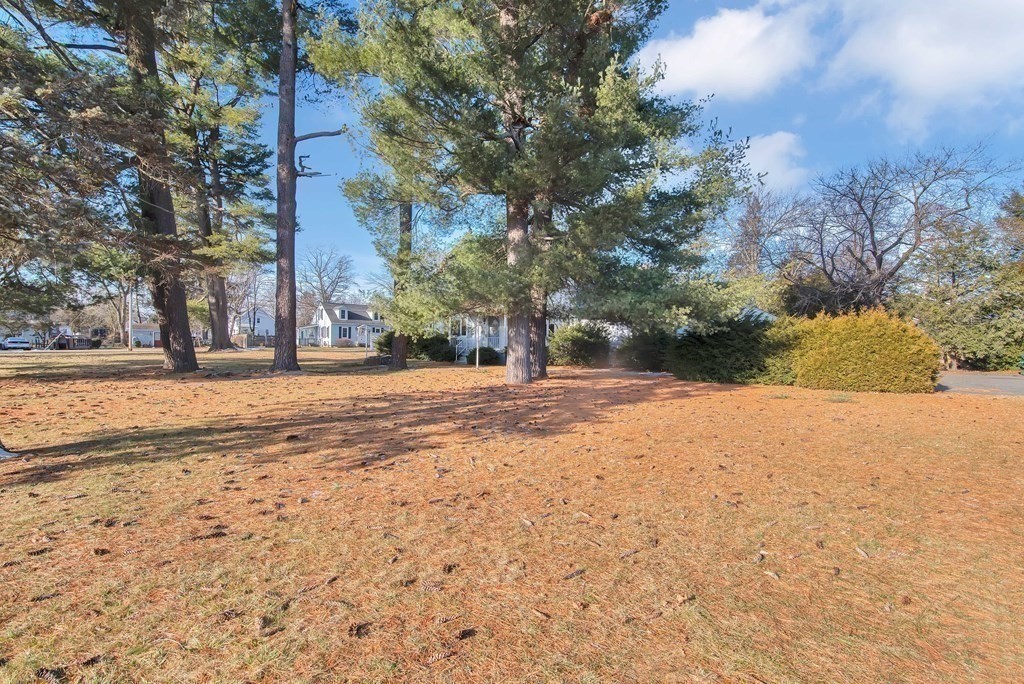 582 Springfield Street Feeding Hills, MA 01030 - Photo 36 of 42 a view of road and trees