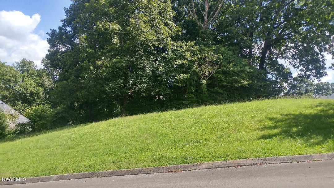 Appletree Drive Clinton, TN 37716 - Photo 2 of 6 thumbnail (2)