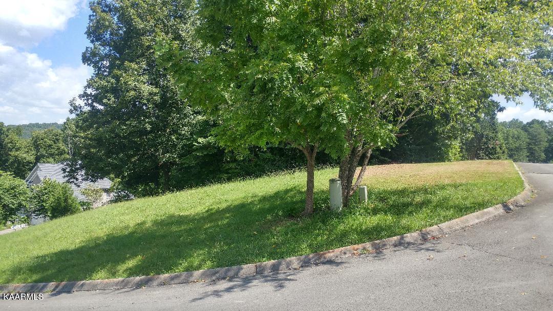 Appletree Drive Clinton, TN 37716 - Photo 4 of 6 thumbnail