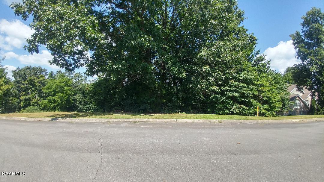 Appletree Drive Clinton, TN 37716 - Photo 5 of 6 thumbnail (4)