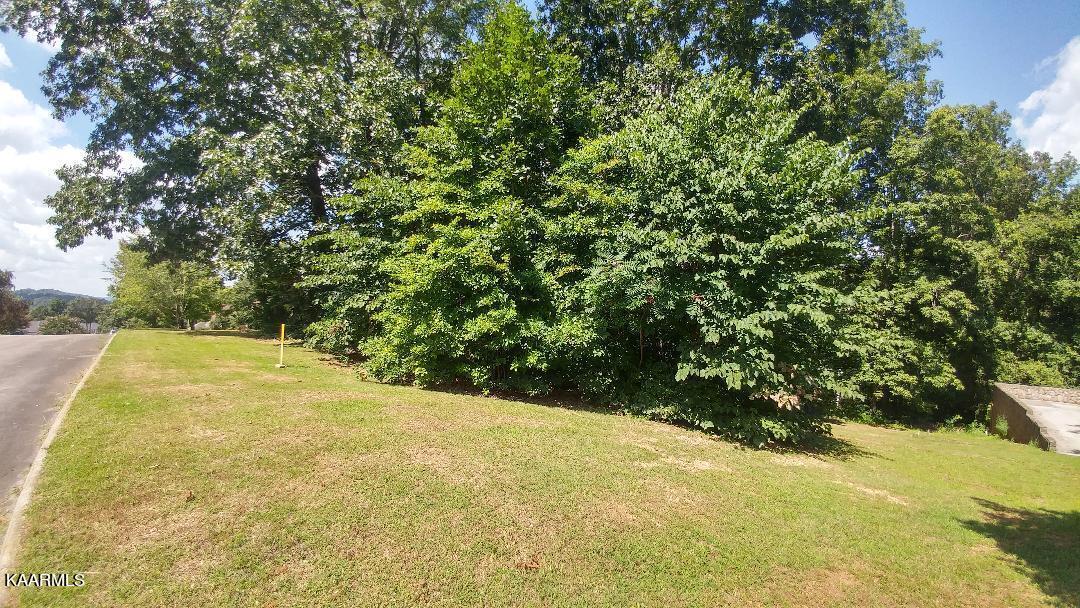 Appletree Drive Clinton, TN 37716 - Photo 6 of 6 thumbnail (5)