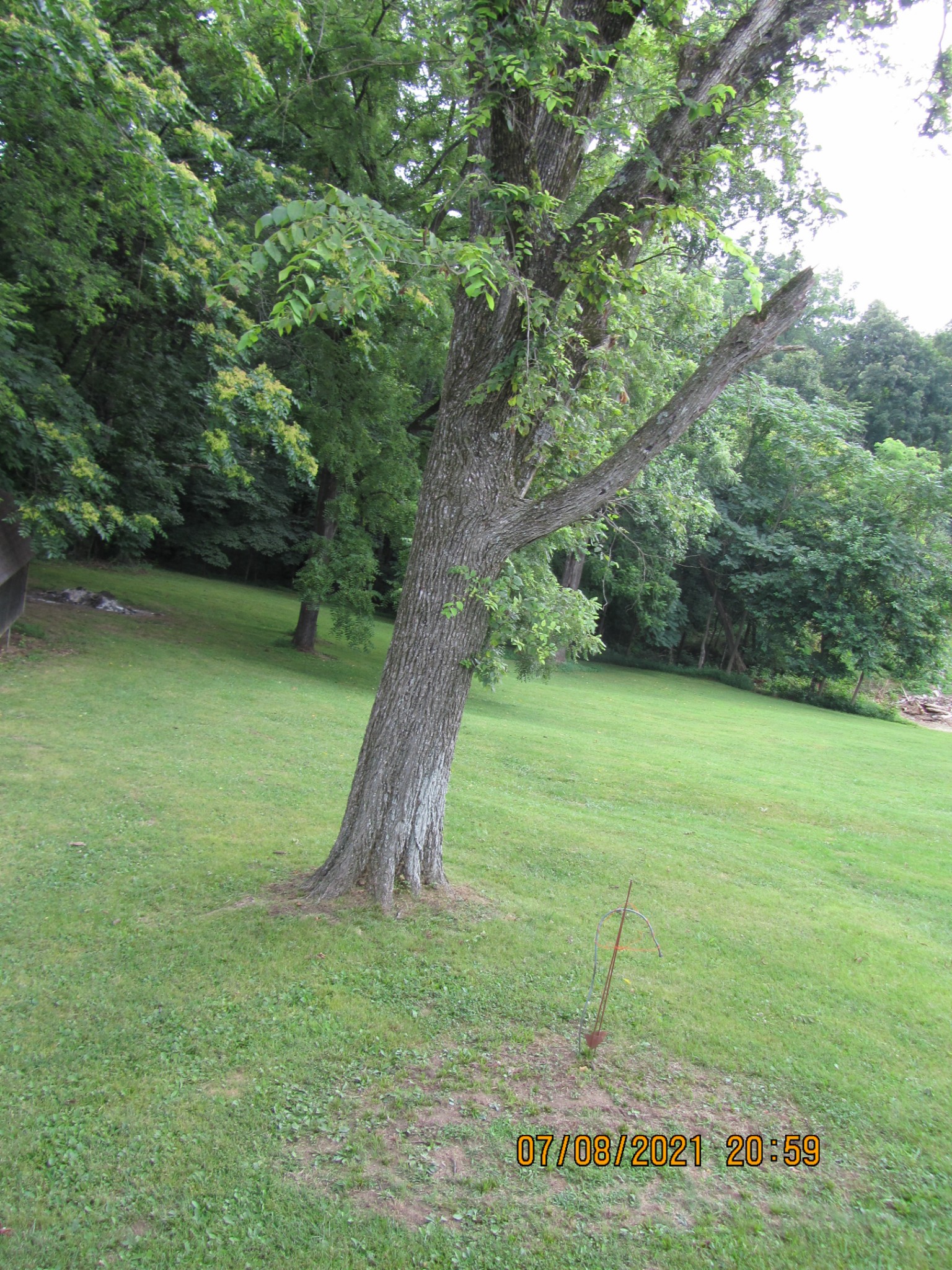 751 Palmyra Road Clarksville, TN 37040 - Photo 20 of 22 a view of a garden with a tree