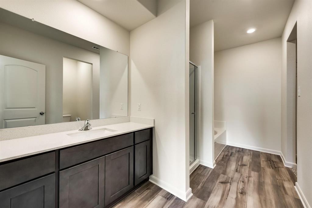 8126 Big Timber Trail Ponder, TX 76259 - Photo 8 of 16 a bathroom with a sink and a mirror