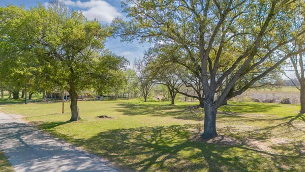a view of yard with trees