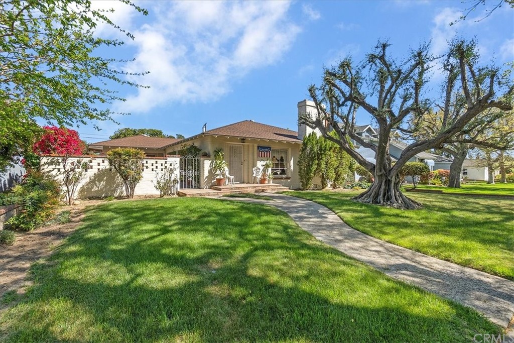 a view of a yard with plants and large trees