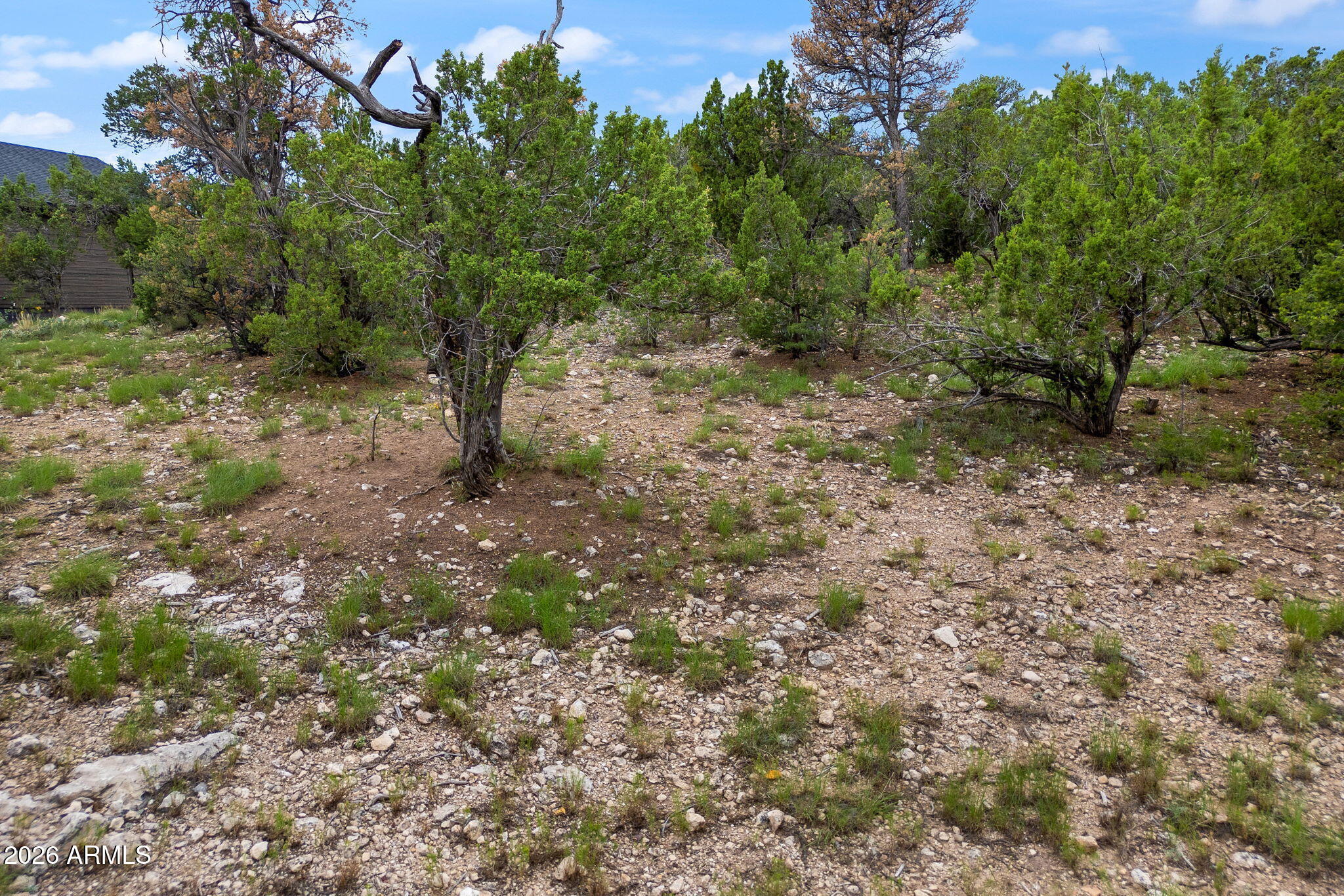3469 Carefree Road, Unit 121 Heber, AZ 85928 - Photo 16 of 16 3469CarefreeRd-Heber-AZ-15