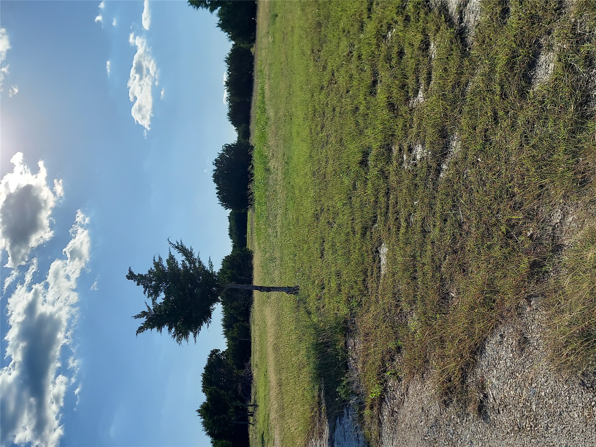 906 County Road 154 Georgetown, TX 78626 - Photo 2 of 11 Expansive undeveloped lot with scattered mature trees and natural ground cover