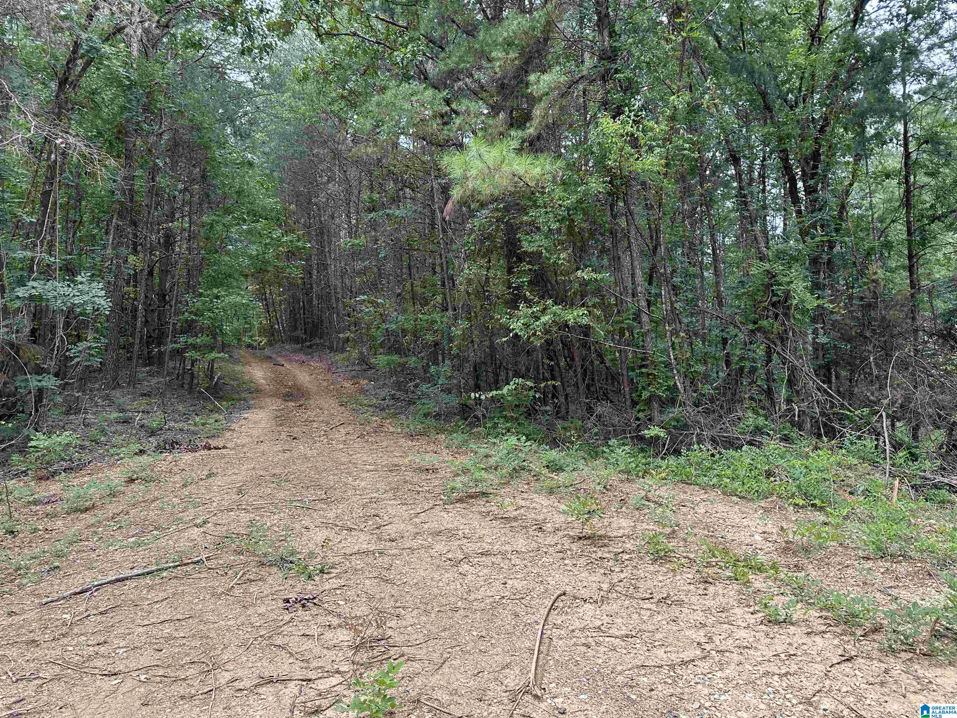 12251 Deer Chase Road McCalla, AL 35111 - Photo 1 of 3