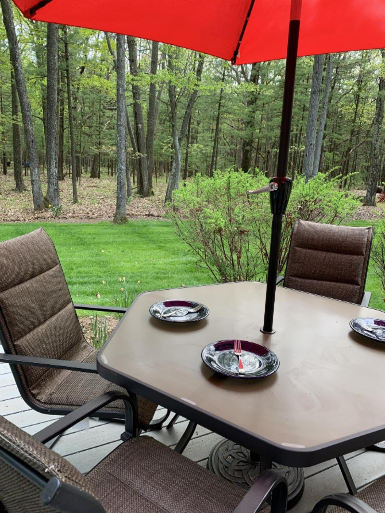 1433 Timber Ridge Drive Manistee, MI 49660 - Photo 54 of 75 Deck