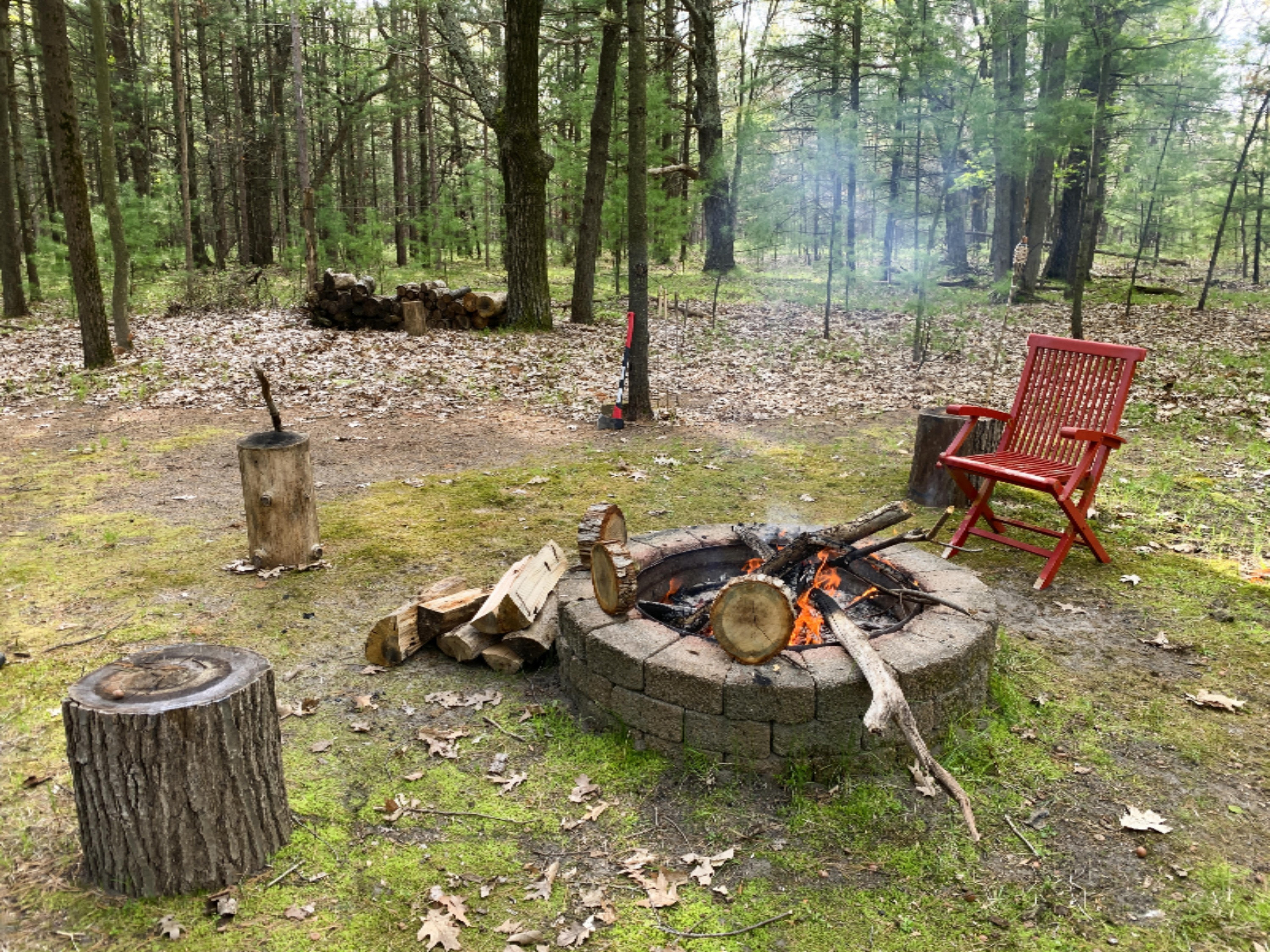 1433 Timber Ridge Drive Manistee, MI 49660 - Photo 58 of 75 Firepit