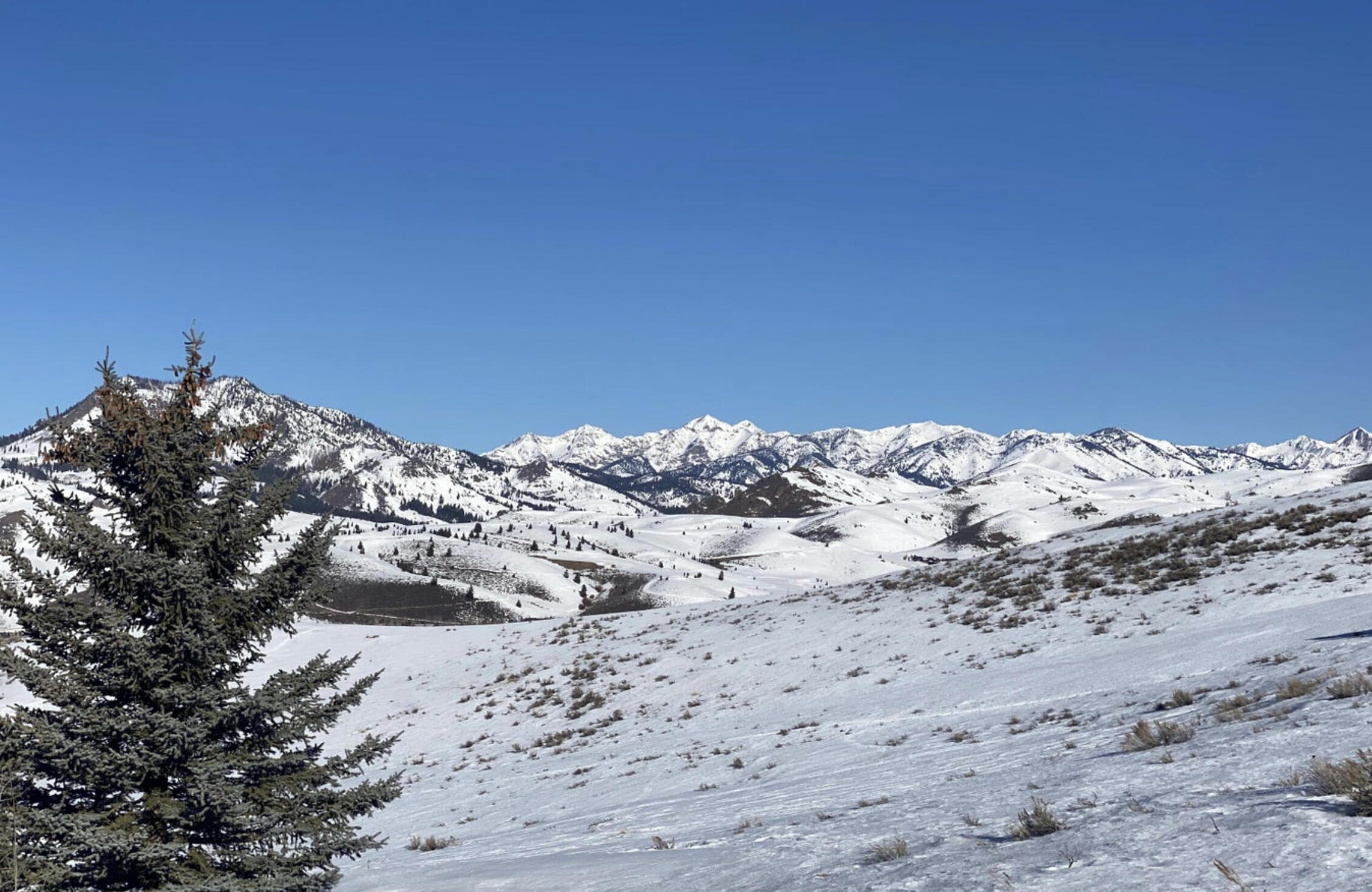 107 Skyline Spur Sun Valley, ID 83353 - Photo 4 of 33 View