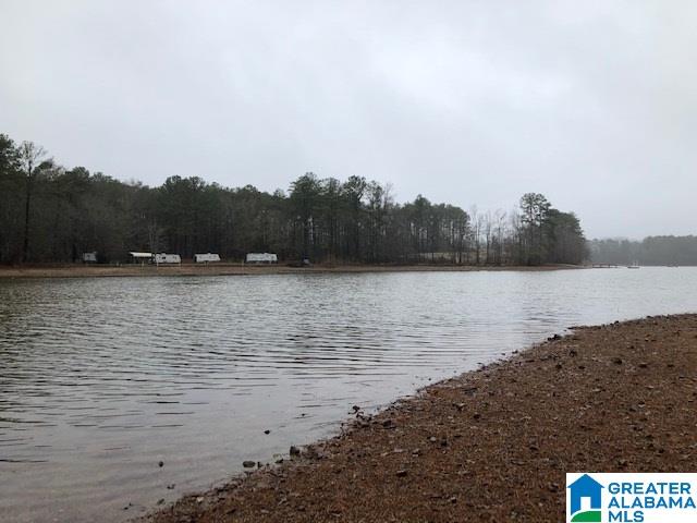 0 Lakeside Lane, Unit 31 Alpine, AL 35014 - Photo 1 of 42
