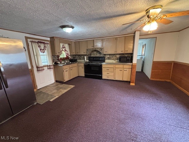 1445 East County Line Road Mineral Ridge, OH 44440 - Photo 7 of 30 Kitchen with appliances, a sink, ceiling fan, wainscoting, and dark carpet