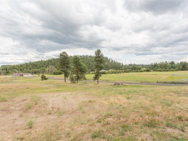 4505 East Streamside Colbert, WA 99005 - Photo 3 of 18