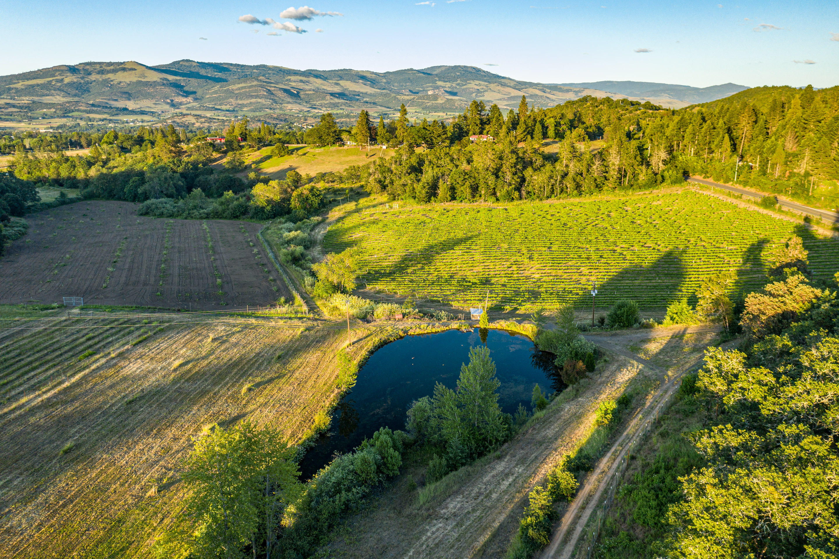 3578 Pioneer Road Medford, OR 97501 - Photo 43 of 46 x