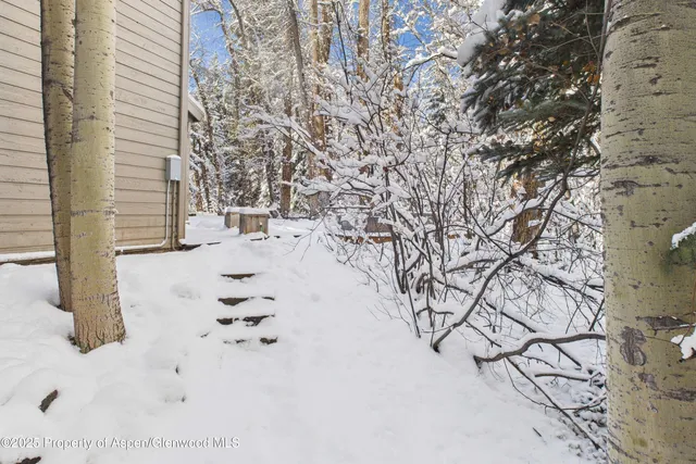 $17,000 | 645 Sneaky Lane, Aspen, CO 81611