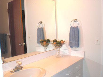 565 Tennyson Rochester, MI 48307 - Photo 10 of 12 933116-9.JPG
