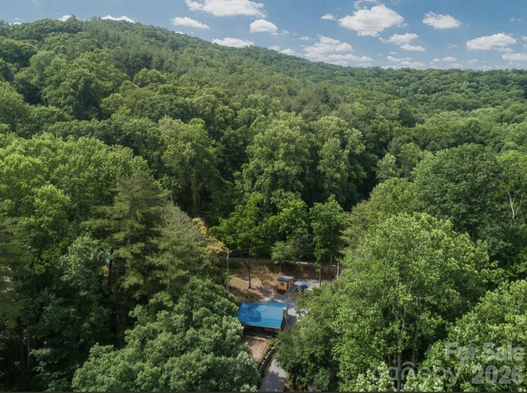168 Avondale Road Asheville, NC 28803 - Photo 8 of 24