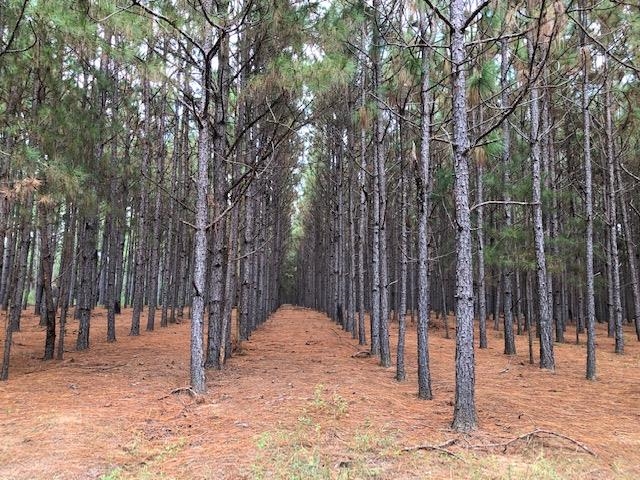 0 Barlow Road Cochran, GA 31014 - Photo 10 of 21