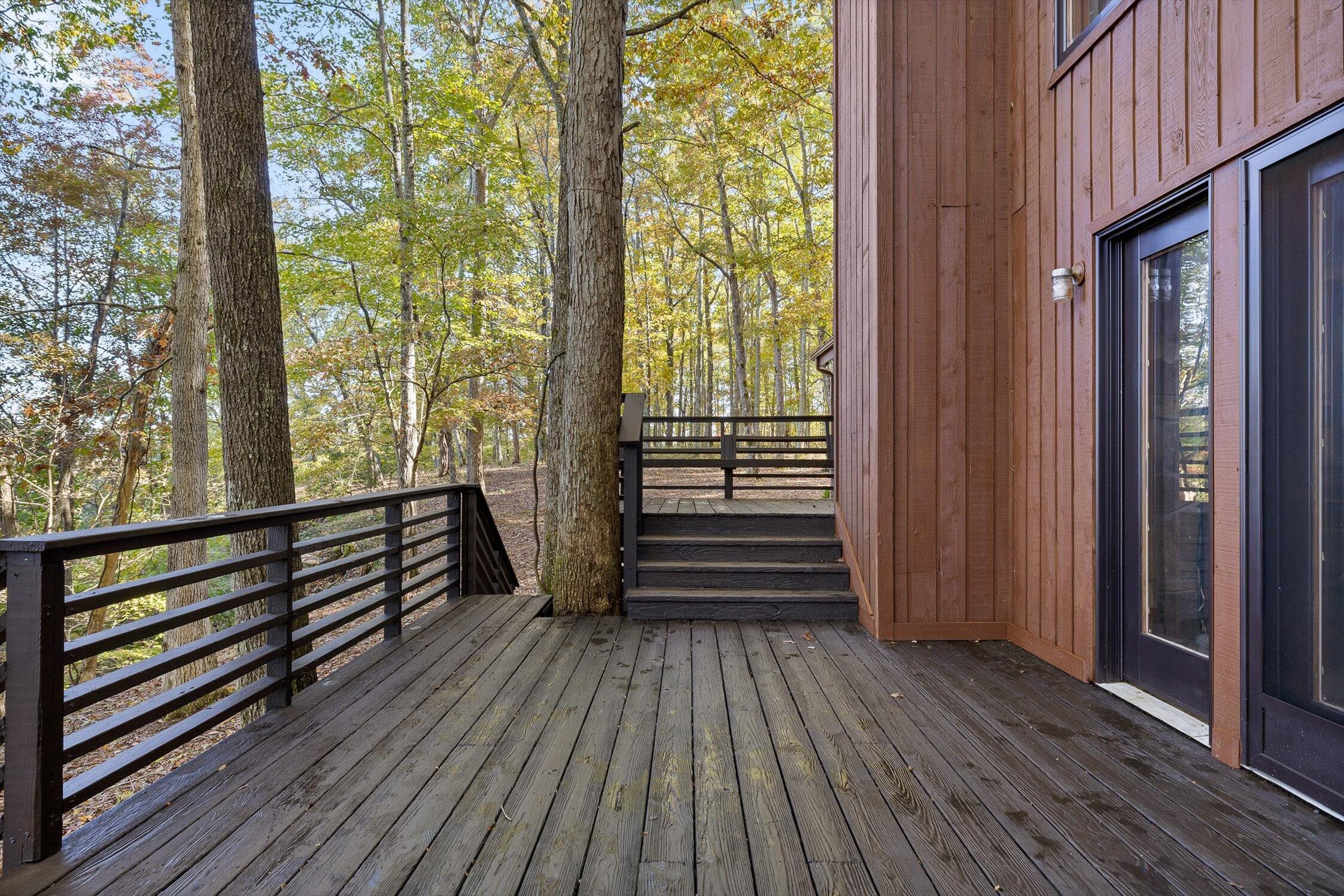 680 Rattlesnake Spring Road Sewanee, TN 37375 - Photo 60 of 87 38-Rattlesnake-37