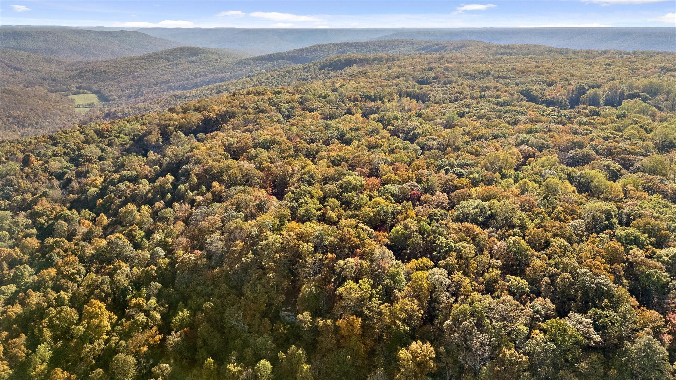 680 Rattlesnake Spring Road Sewanee, TN 37375 - Photo 6 of 87 59-Rattlesnake-58