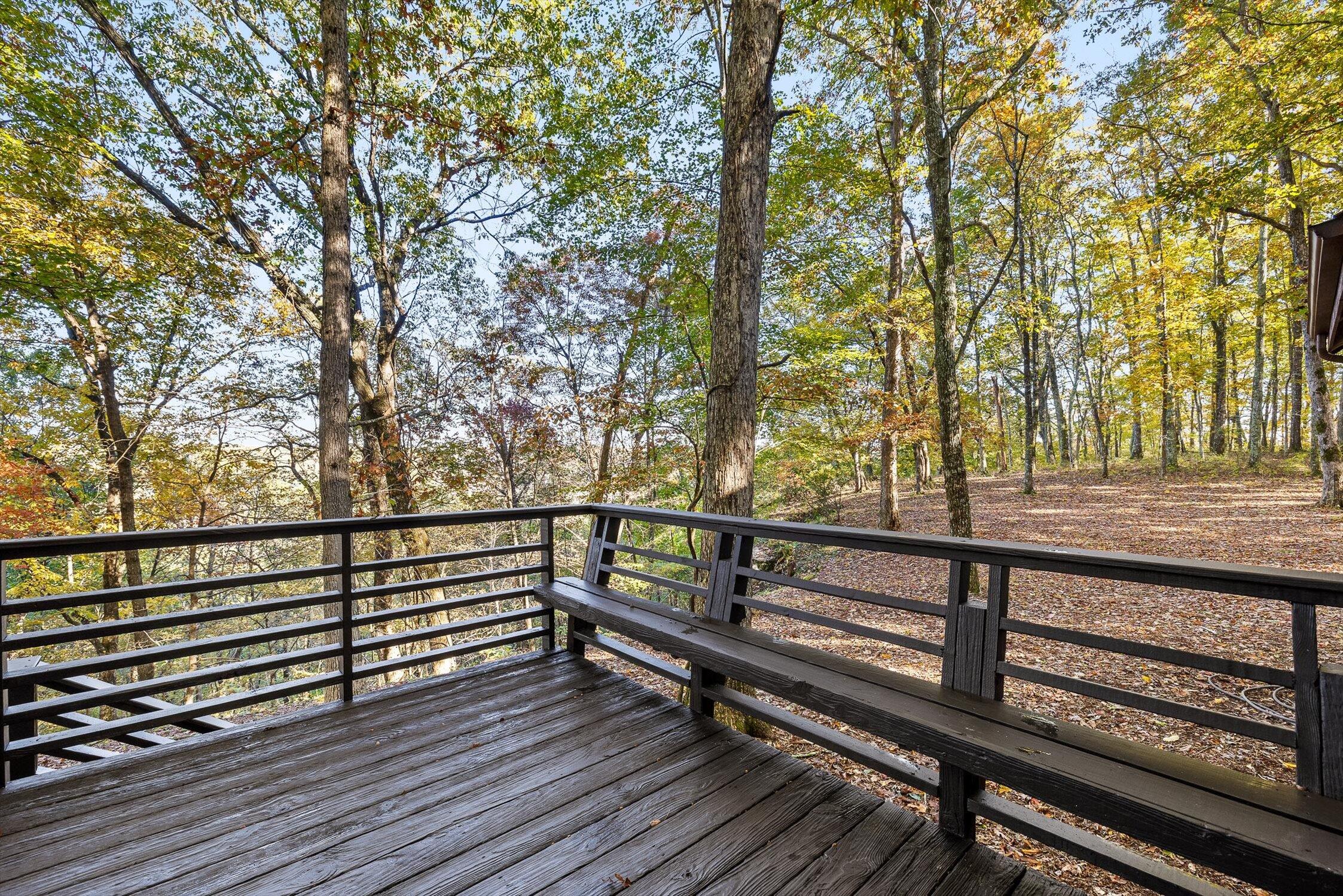 680 Rattlesnake Spring Road Sewanee, TN 37375 - Photo 65 of 87 43-Rattlesnake-42