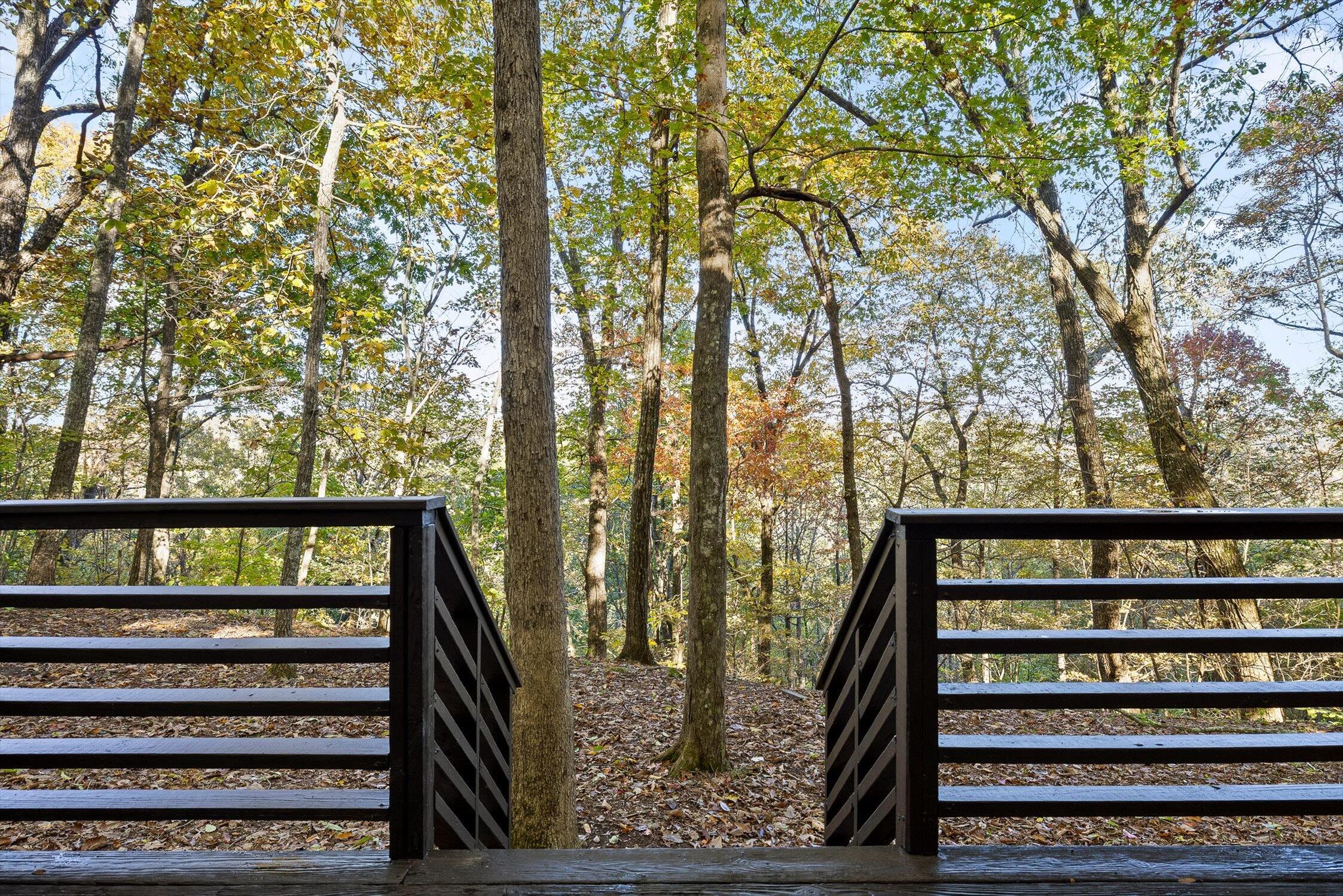 680 Rattlesnake Spring Road Sewanee, TN 37375 - Photo 66 of 87 40-Rattlesnake-39