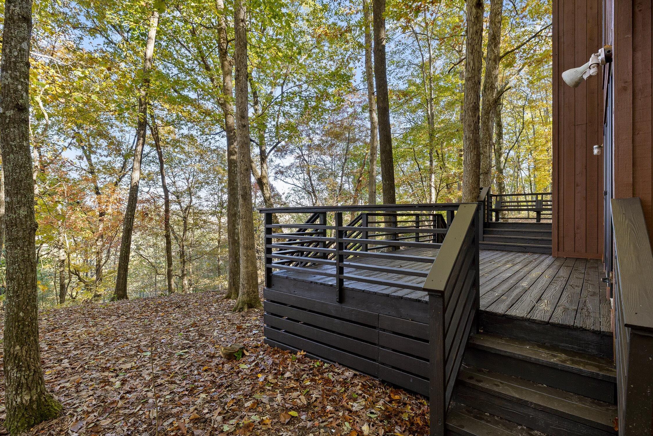 680 Rattlesnake Spring Road Sewanee, TN 37375 - Photo 67 of 87 36-Rattlesnake-35