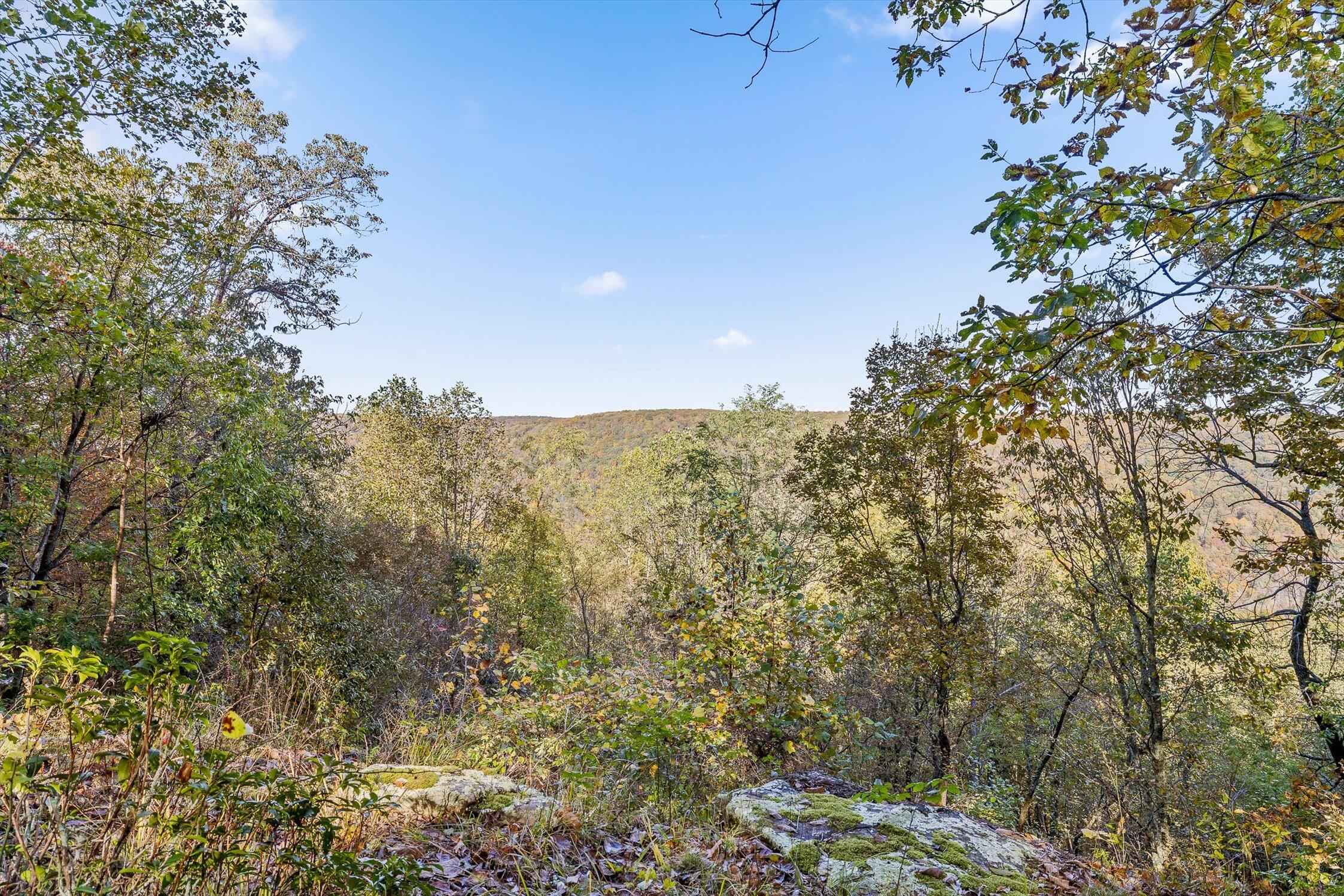 680 Rattlesnake Spring Road Sewanee, TN 37375 - Photo 69 of 87 09-Rattlesnake-8