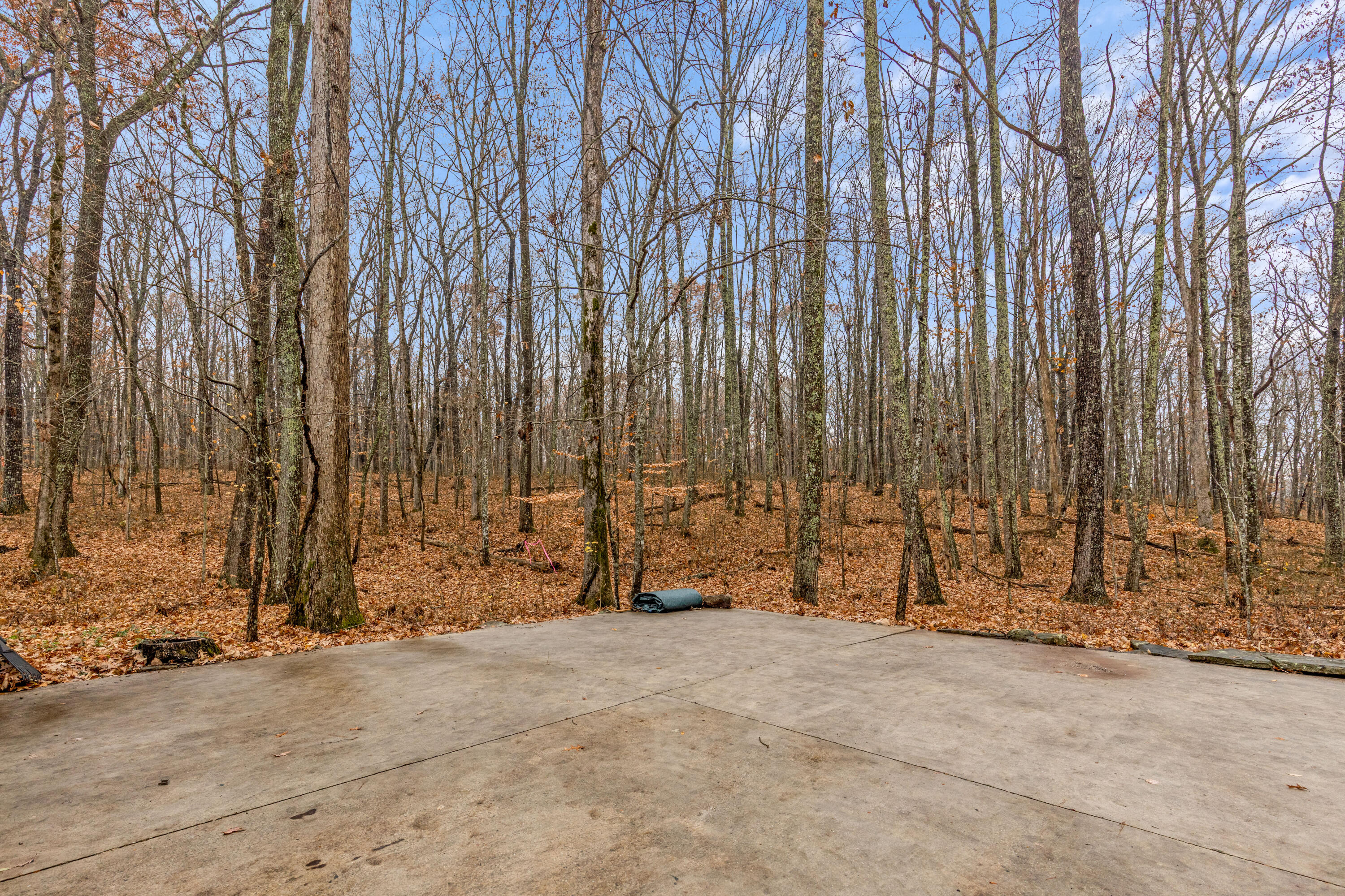 680 Rattlesnake Spring Road Sewanee, TN 37375 - Photo 77 of 87 Rattlesnake-59