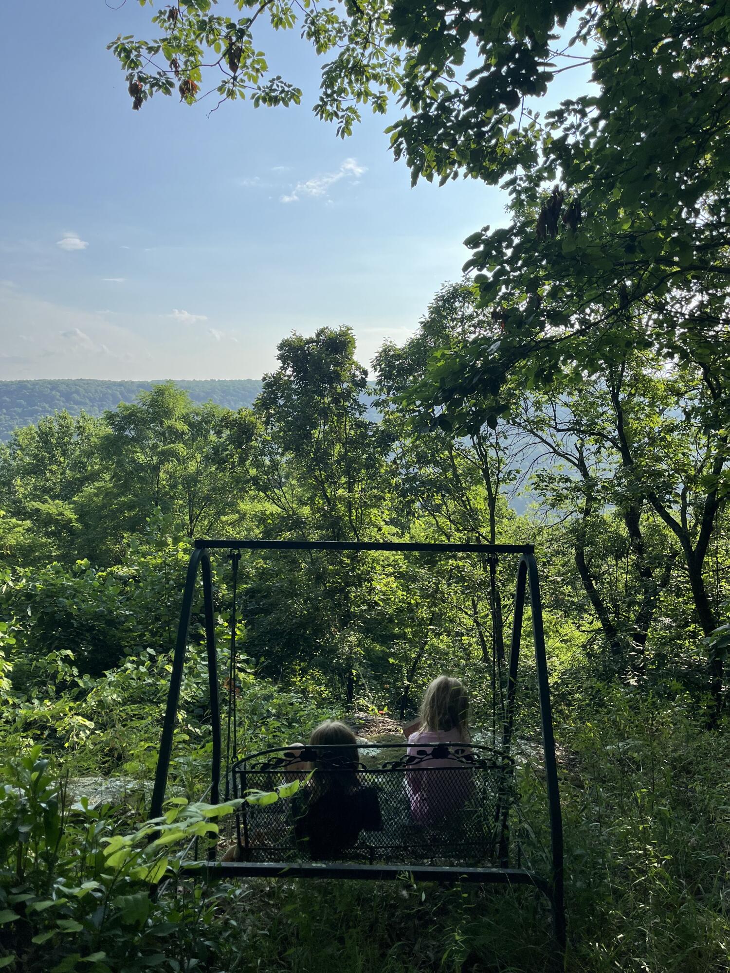 680 Rattlesnake Spring Road Sewanee, TN 37375 - Photo 80 of 87 IMG_6397