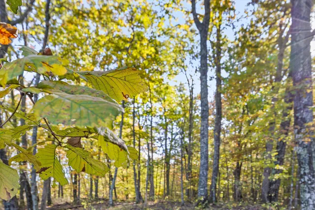 $900,000 | 680 Rattlesnake Spring Road, Sewanee, TN 37375