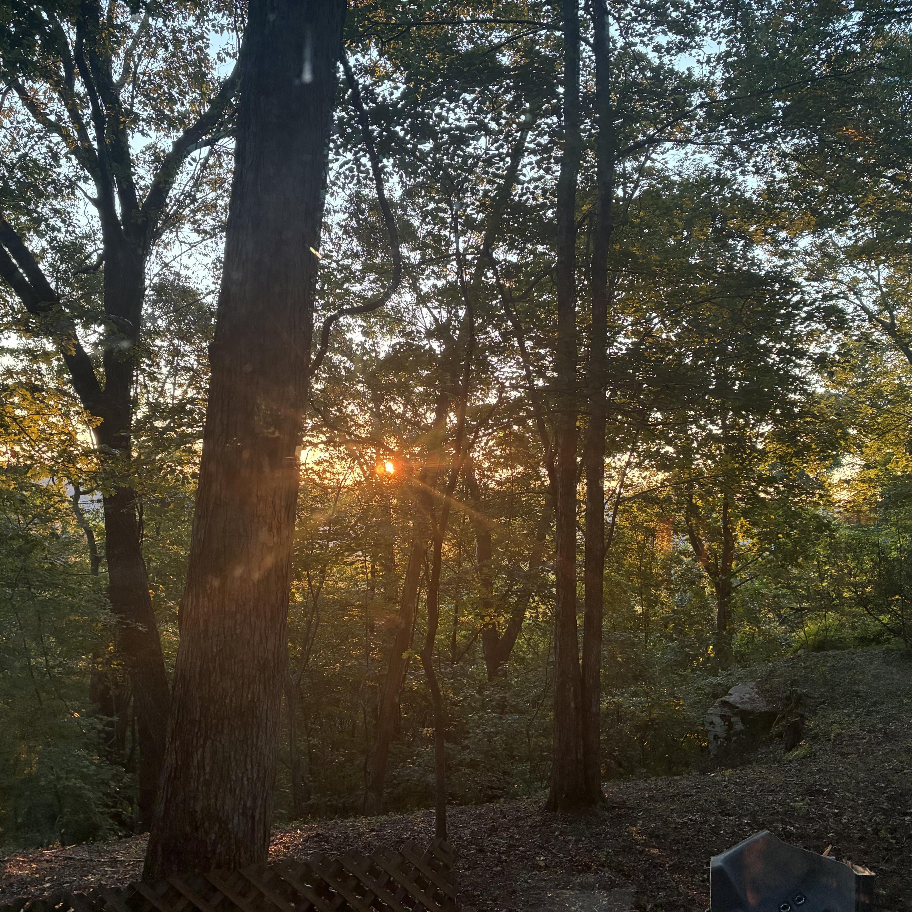 680 Rattlesnake Spring Road Sewanee, TN 37375 - Photo 84 of 87 IMG_0306