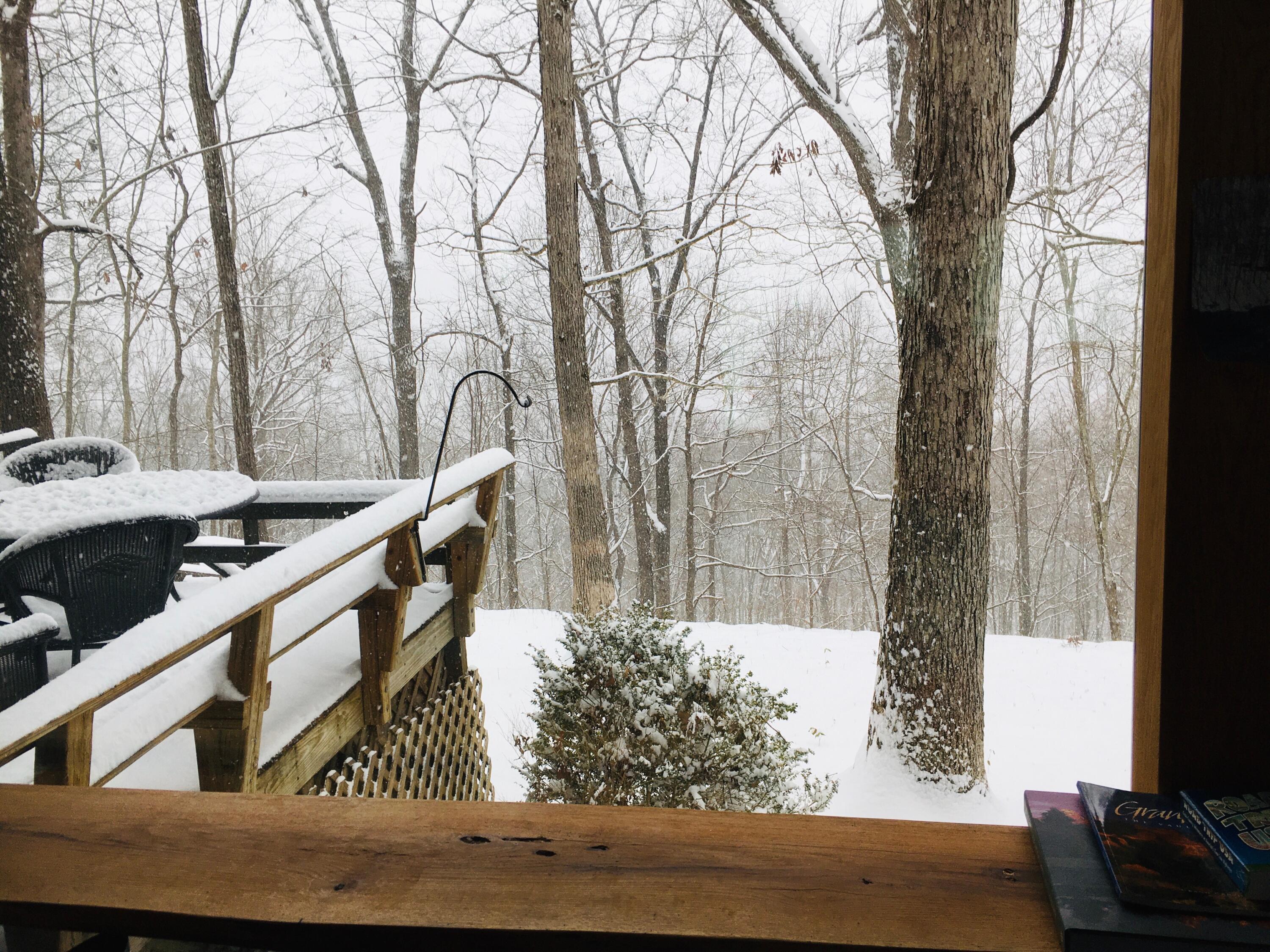 680 Rattlesnake Spring Road Sewanee, TN 37375 - Photo 85 of 87 IMG_3417