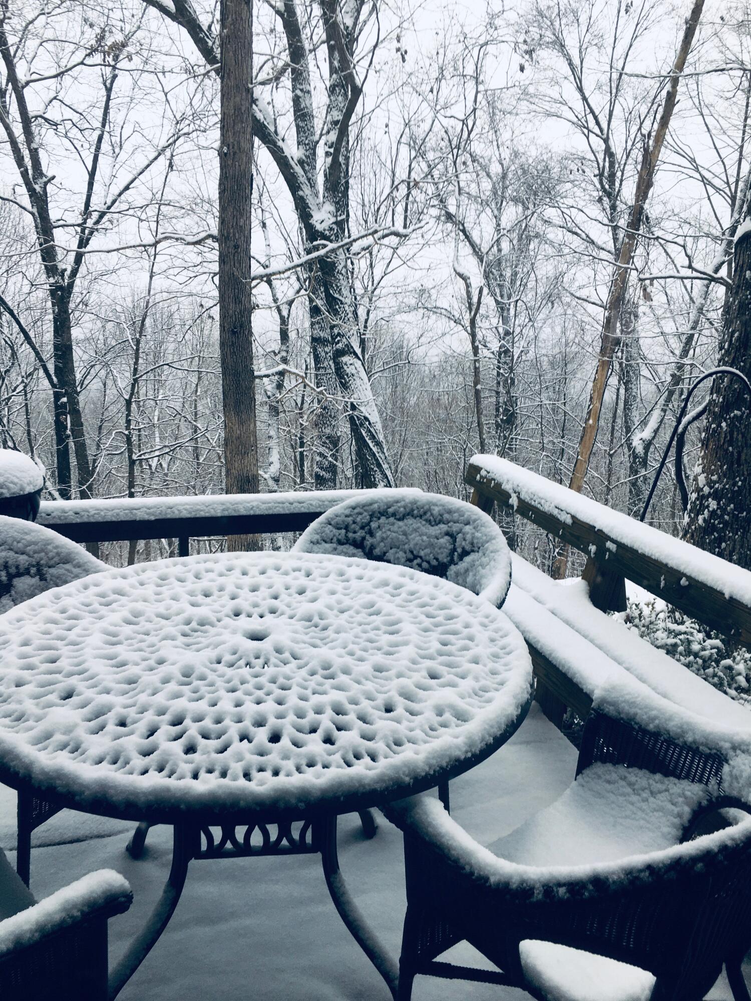 680 Rattlesnake Spring Road Sewanee, TN 37375 - Photo 86 of 87 IMG_4752