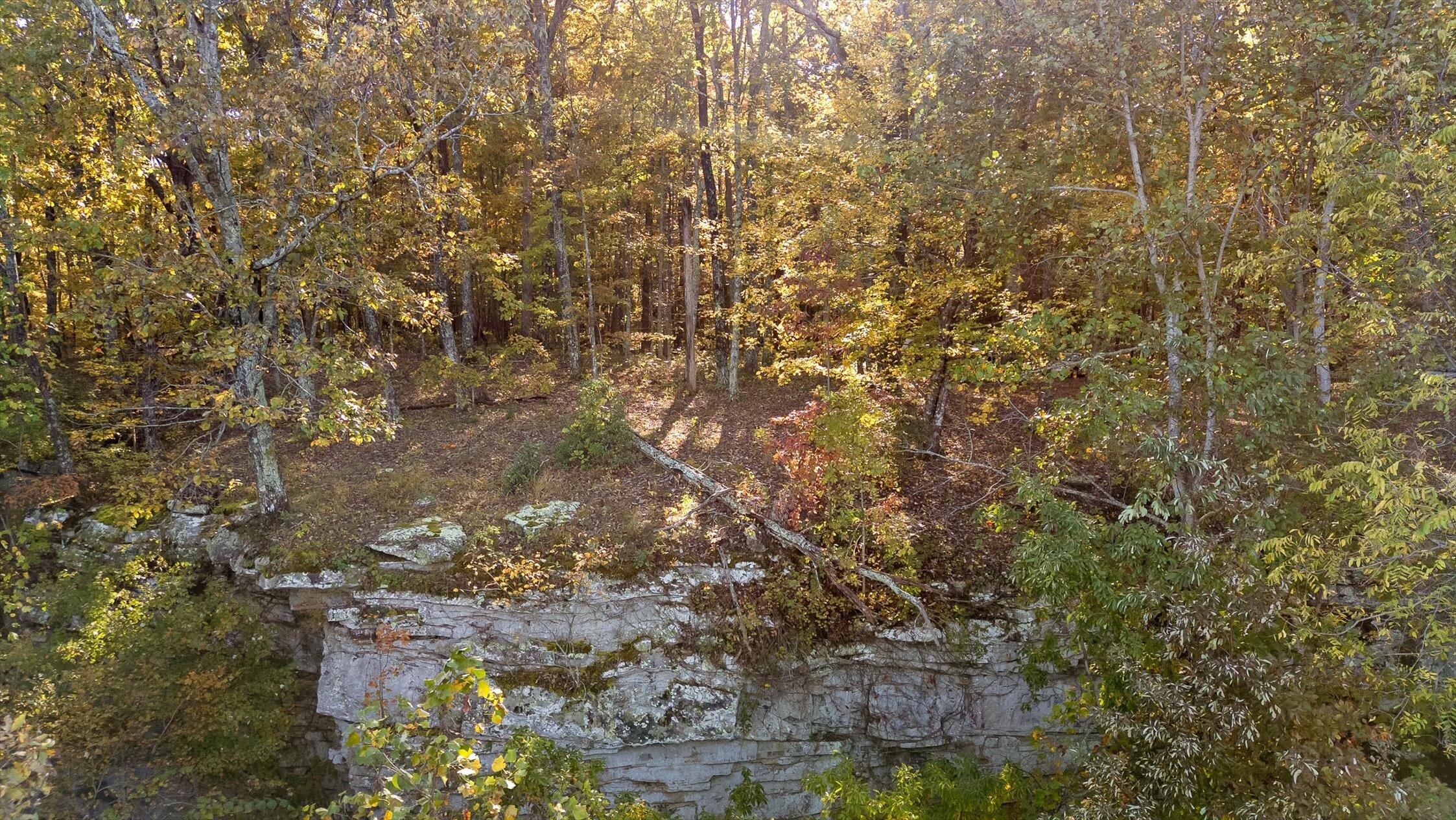 680 Rattlesnake Spring Road Sewanee, TN 37375 - Photo 9 of 87 61-Rattlesnake-60