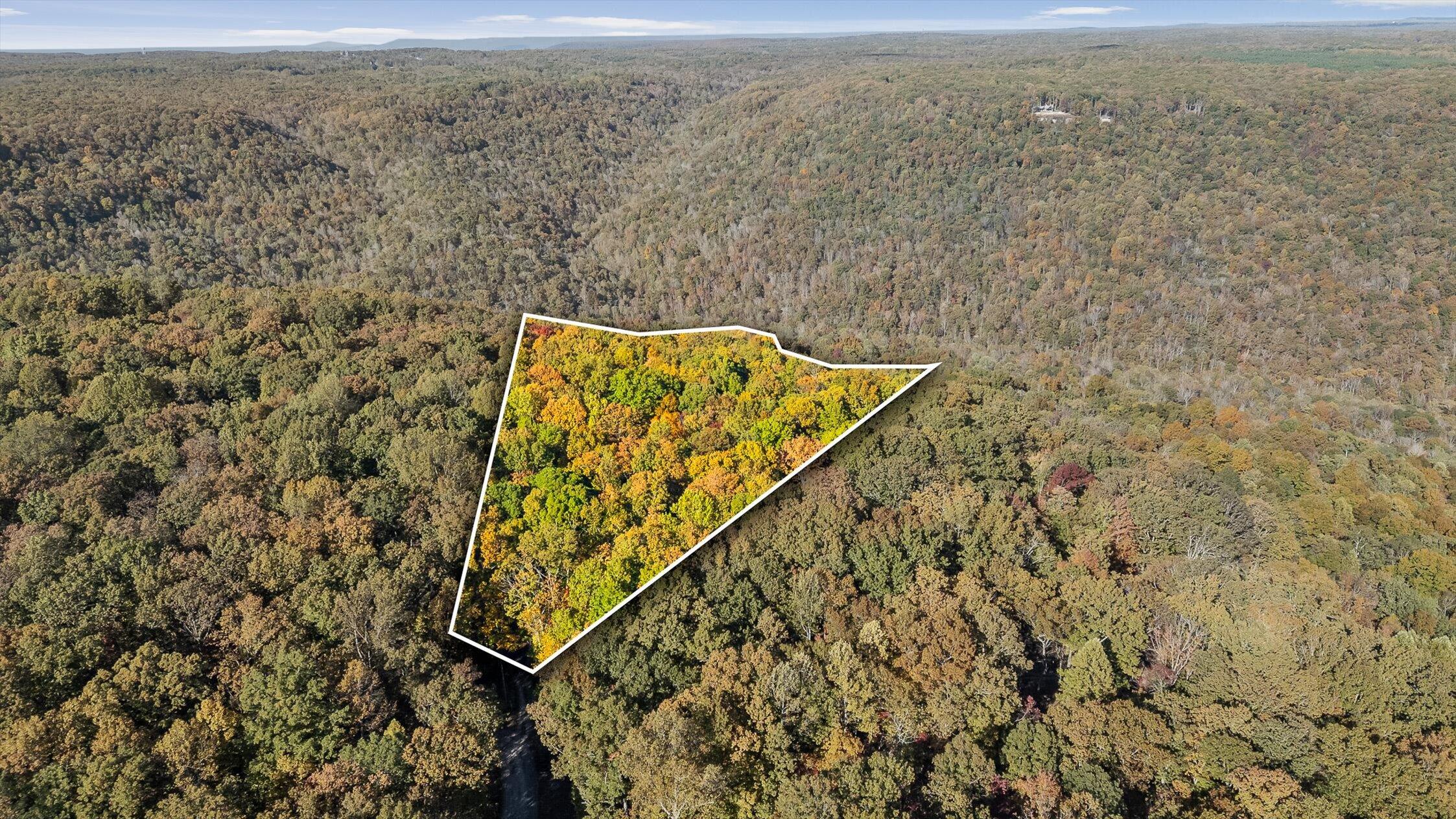 680 Rattlesnake Spring Road Sewanee, TN 37375 - Photo 10 of 87 01-Rattlesnake Overlay-1