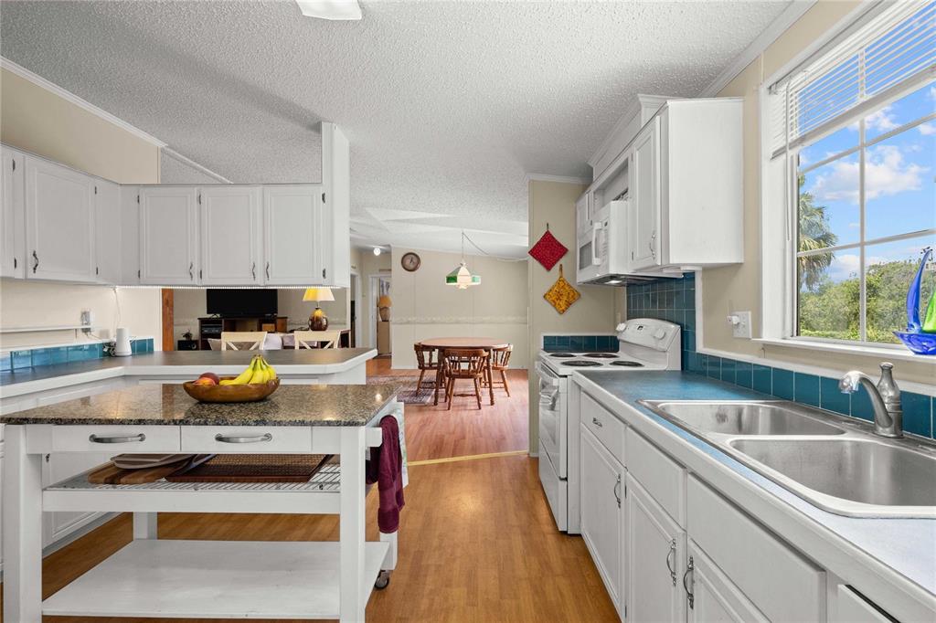 34945 Buck Road Zephyrhills, FL 33541 - Photo 13 of 47 Gallery Image 13