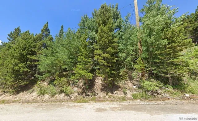 $54,000 | 123 Nebraska Drive, Idaho Springs, CO 80452