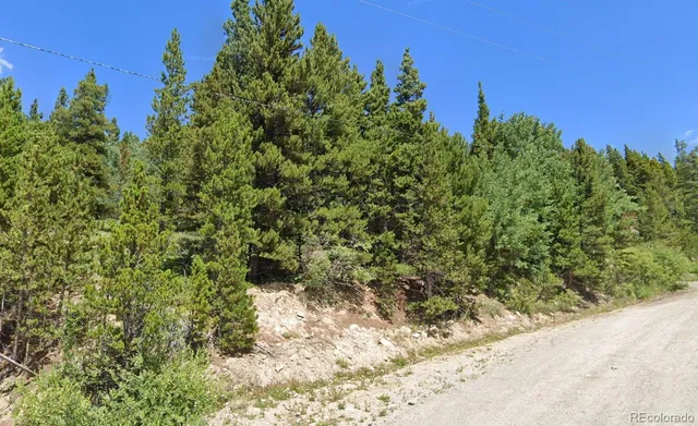 $54,000 | 123 Nebraska Drive, Idaho Springs, CO 80452