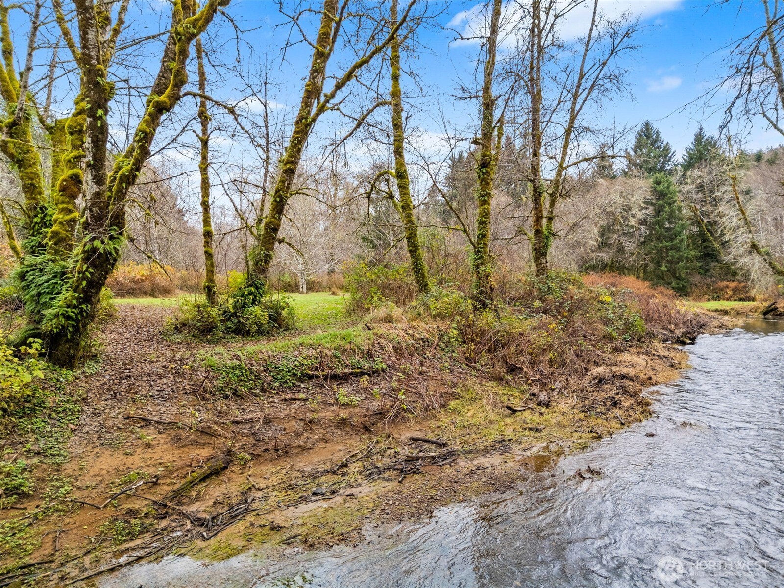 288 South Valley Road Naselle, WA 98638 - Photo 31 of 40 a view of a yard with plants and trees