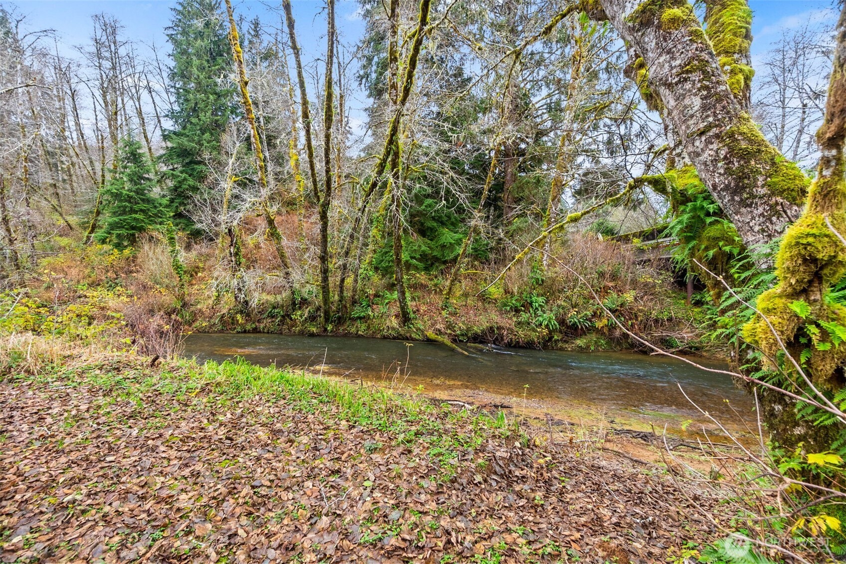 288 South Valley Road Naselle, WA 98638 - Photo 32 of 40 a view of a lake with large trees