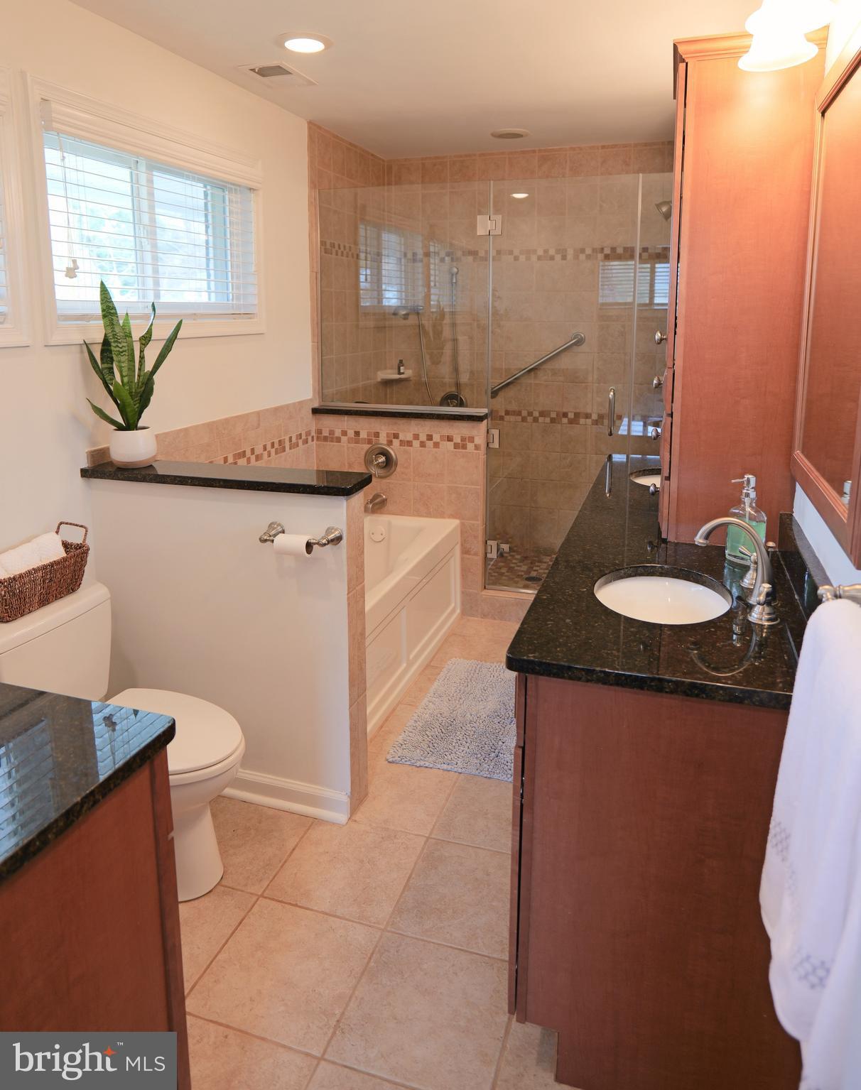 7323 Inzer Street Springfield, VA 22151 - Photo 16 of 25 a bathroom with a granite countertop sink a toilet and a mirror