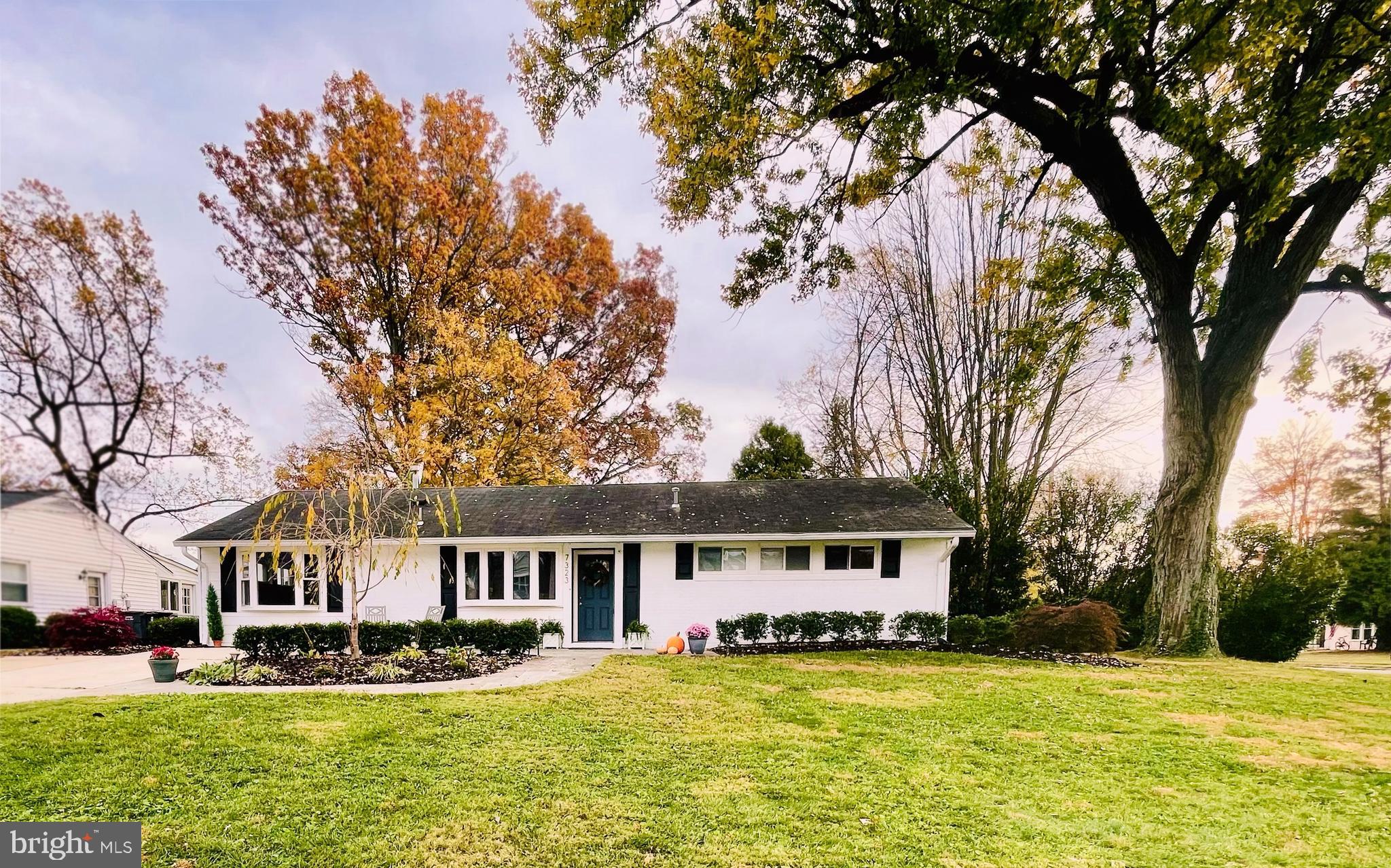 7323 Inzer Street Springfield, VA 22151 - Photo 2 of 25 a front view of a house with a yard covered with trees