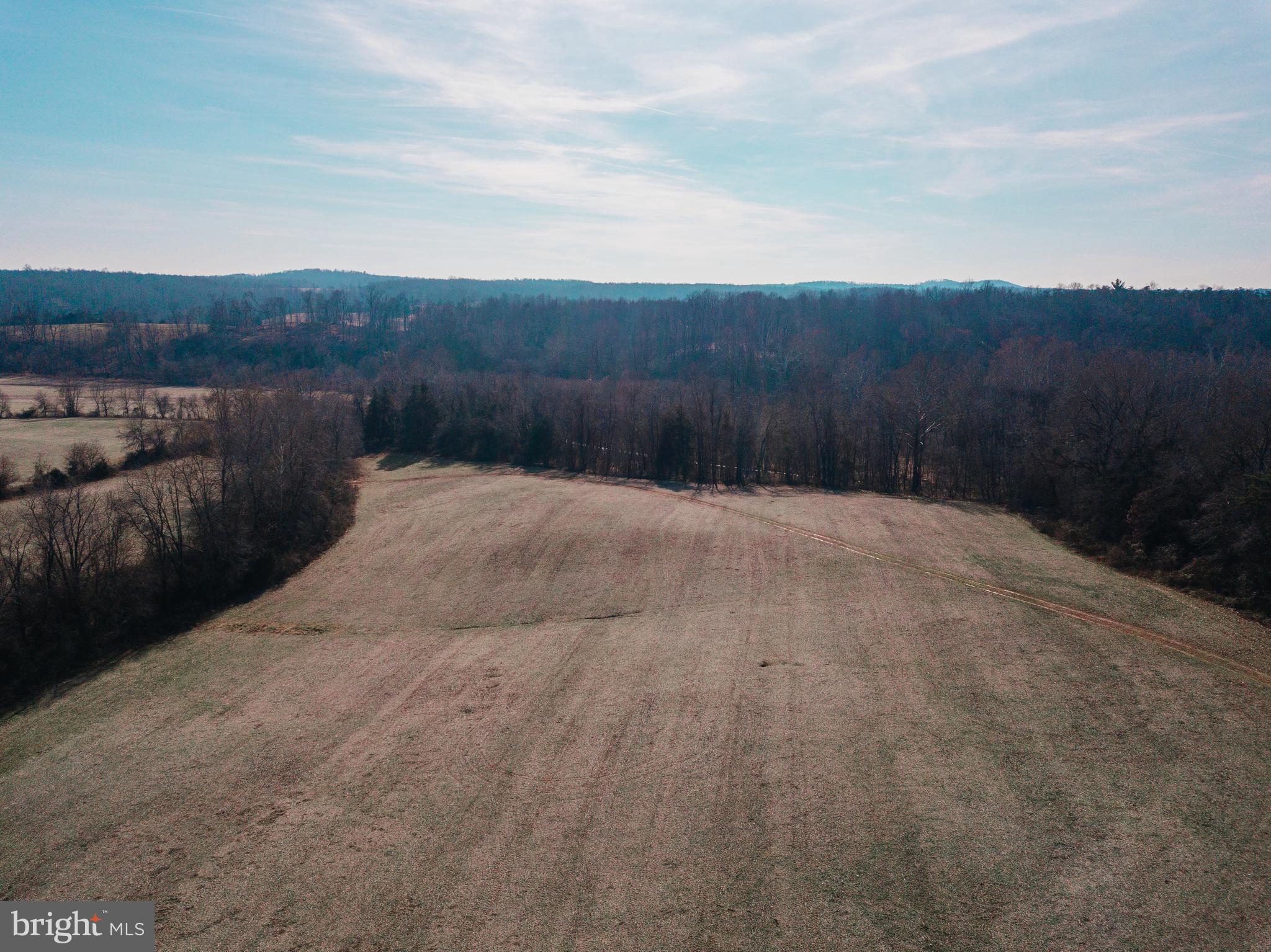 0 Hickory Hl Lane Rixeyville, VA 22737 - Photo 4 of 8