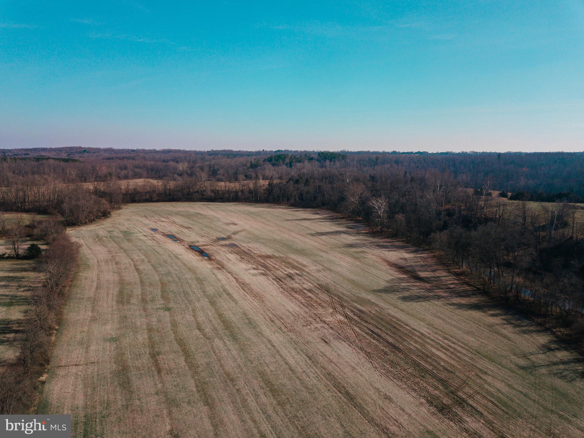 0 Hickory Hl Lane Rixeyville, VA 22737 - Photo 5 of 8
