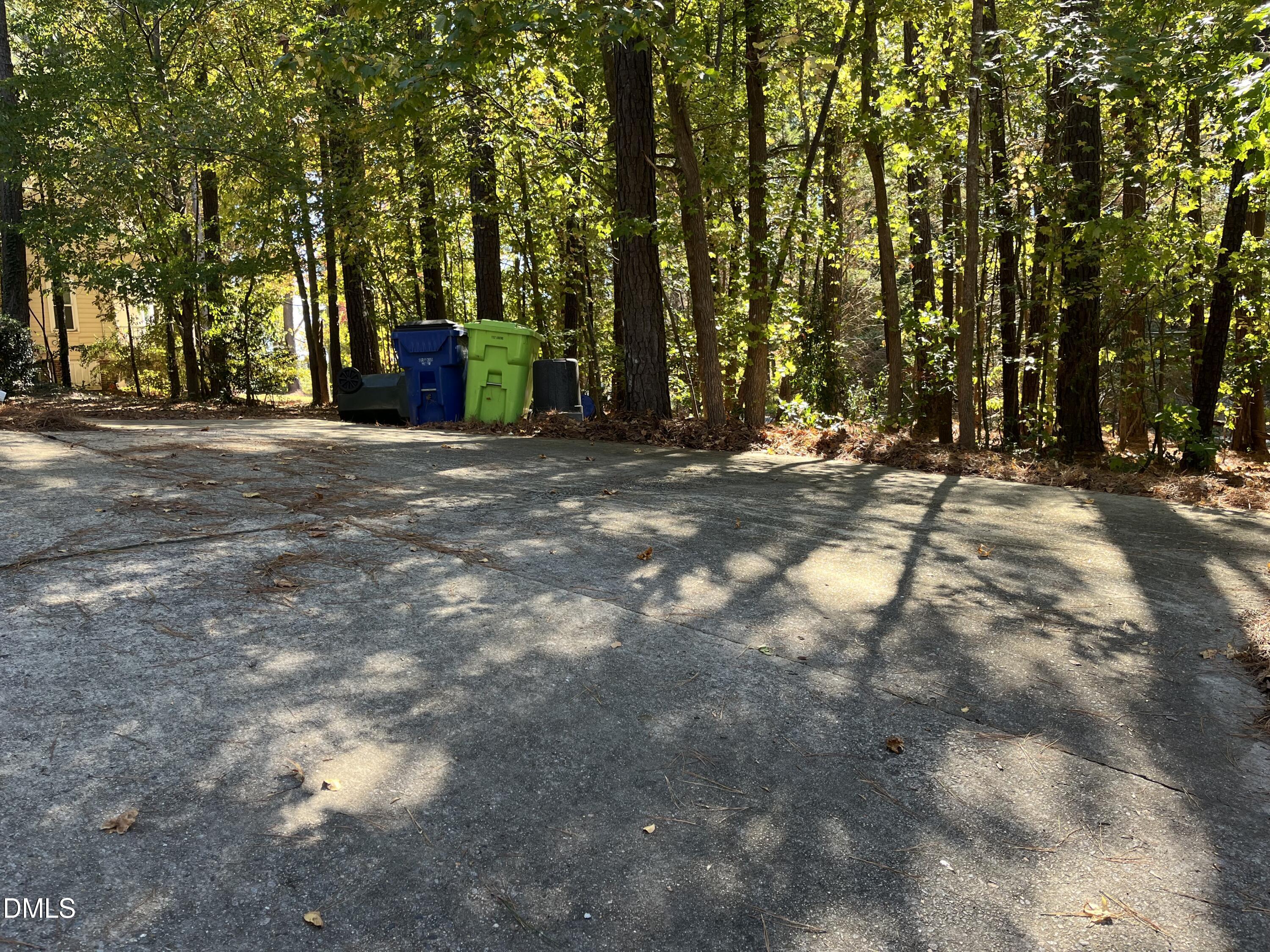 8100 Laurel Mountain Road Raleigh, NC 27613 - Photo 38 of 48 driveway