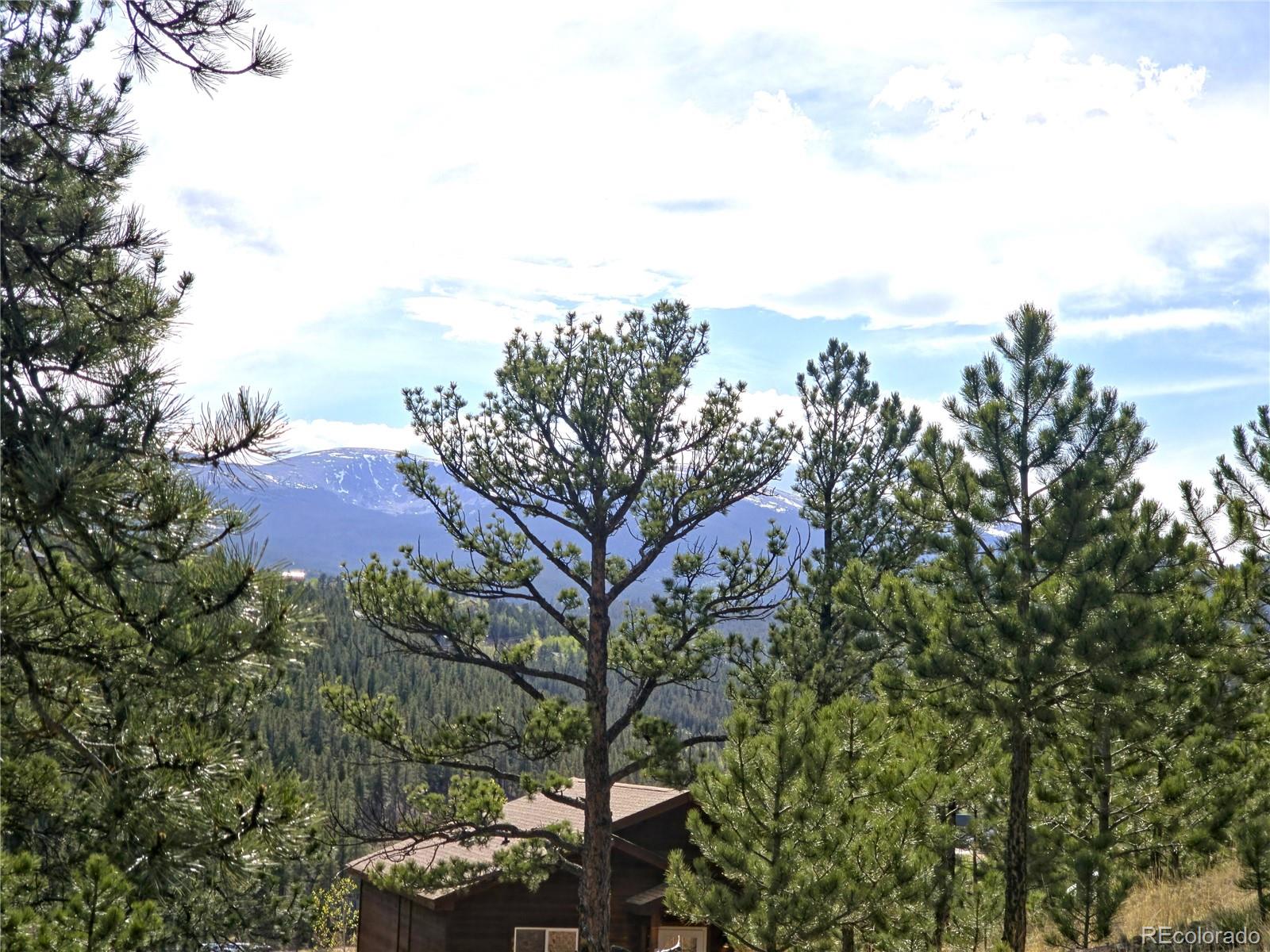 226 Hall Road Bailey, CO 80421 - Photo 18 of 26