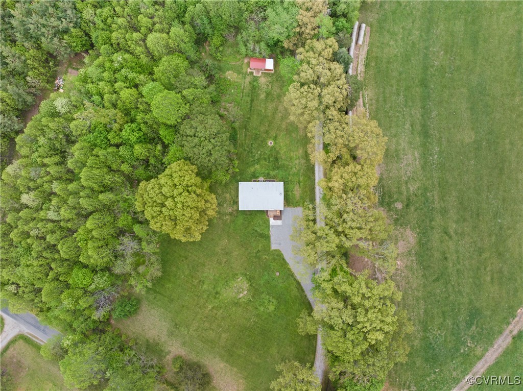 4660 Marks Lane Goochland, VA 23063 - Photo 39 of 39 a picture of a tree in a garden