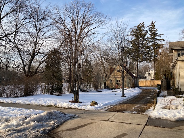 a street view with large trees